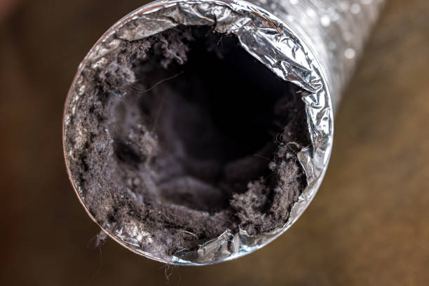 Best Air Duct Inspection  in Belgium, WI
